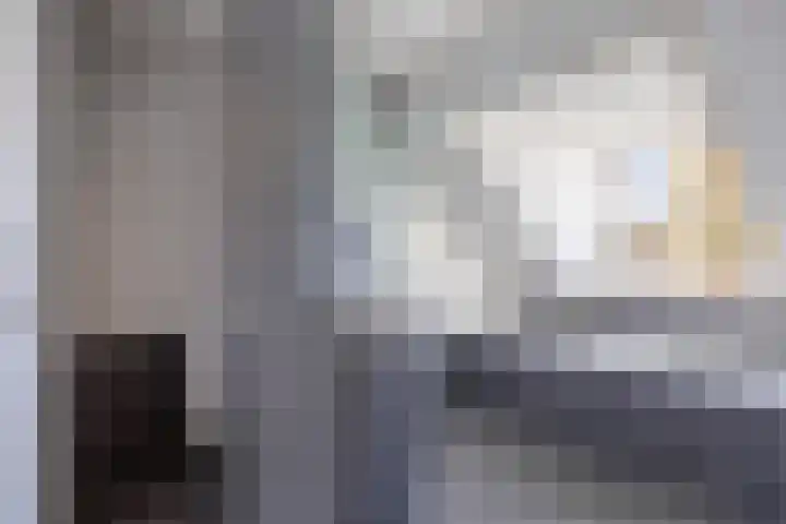 Boesvelderdijk 3 Westendorp thumbnail 17