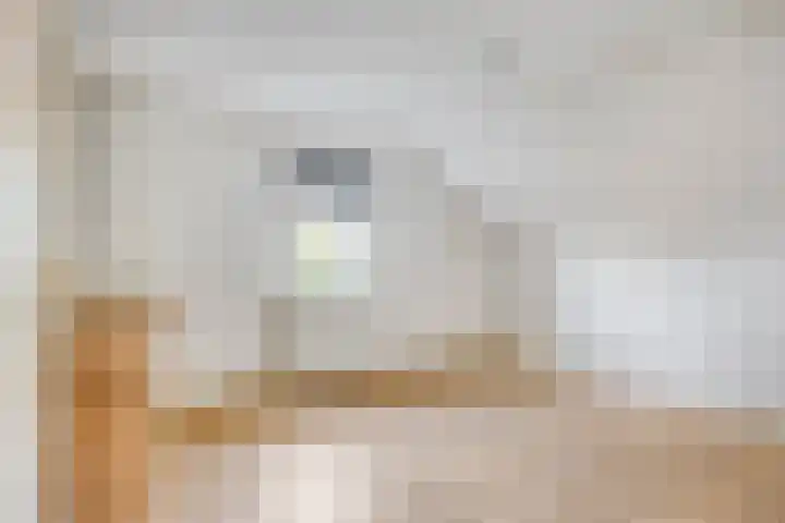 Boesvelderdijk 3 Westendorp thumbnail 20