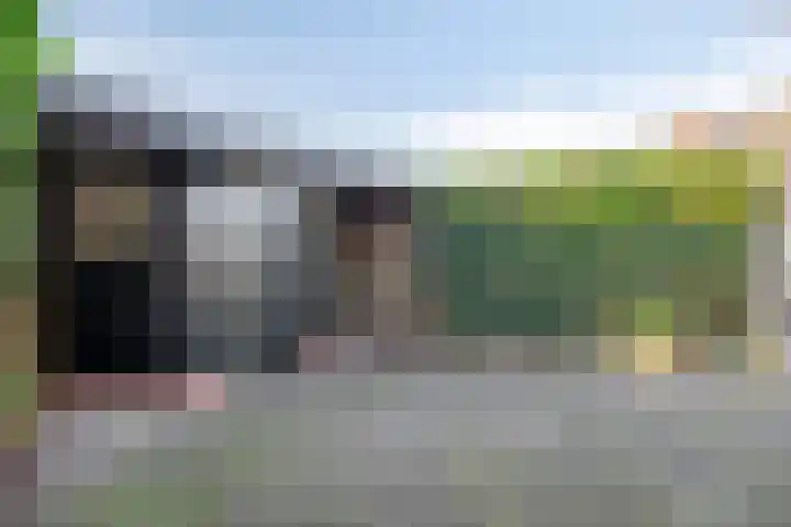 Boesvelderdijk 3 Westendorp thumbnail 24