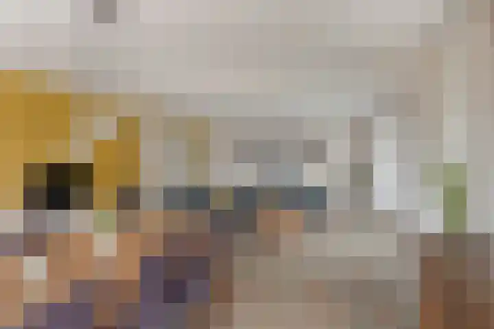 Boesvelderdijk 5 Westendorp thumbnail 11