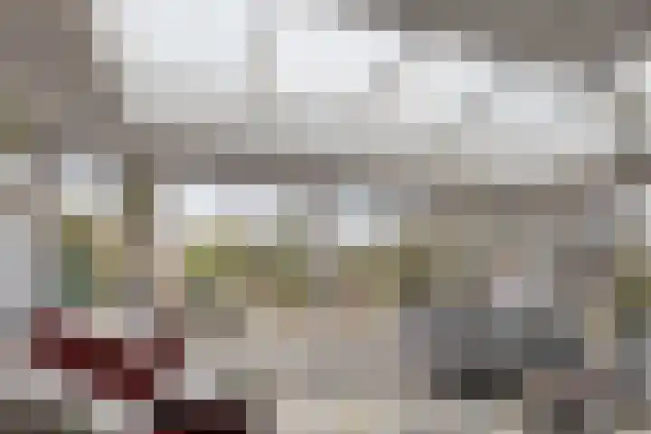 Boesvelderdijk 5 Westendorp thumbnail 17