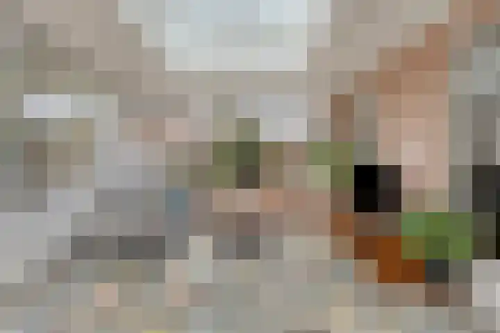 Boesvelderdijk 5 Westendorp thumbnail 22