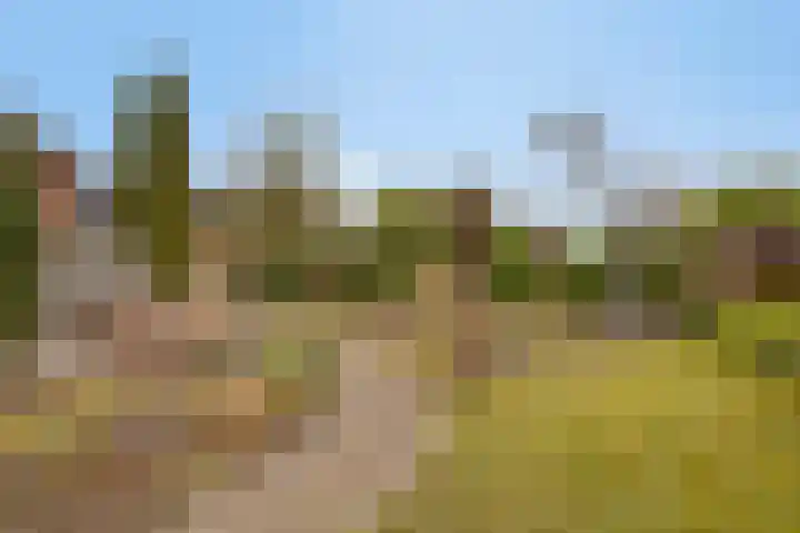 Boesvelderdijk 5 Westendorp thumbnail 42