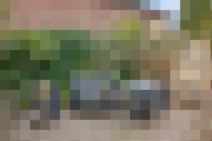Boesvelderdijk 5 Westendorp thumbnail 43