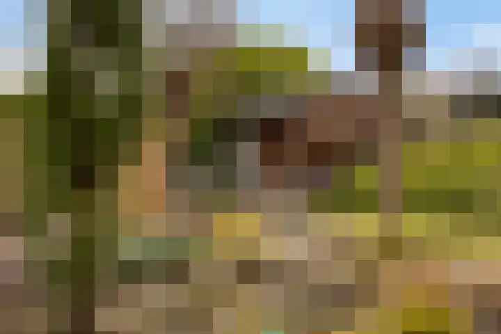 Boesvelderdijk 5 Westendorp thumbnail 44