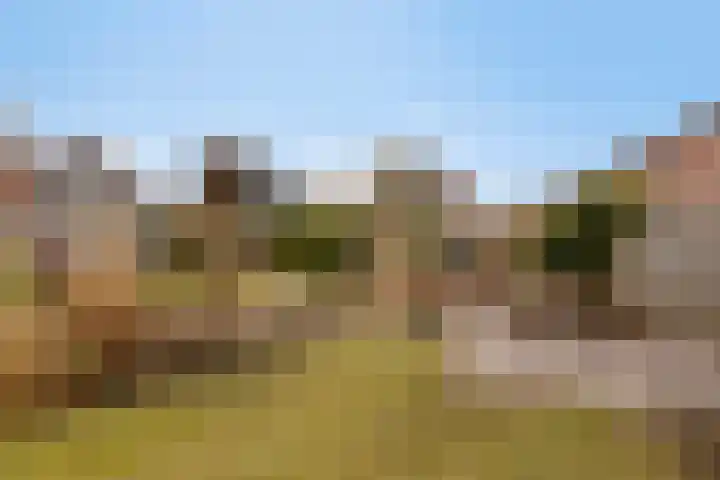 Boesvelderdijk 5 Westendorp thumbnail 46