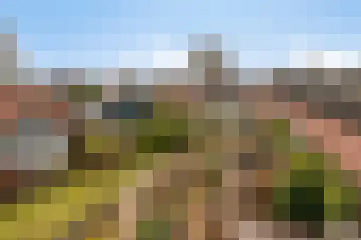 Boesvelderdijk 5 Westendorp thumbnail 47