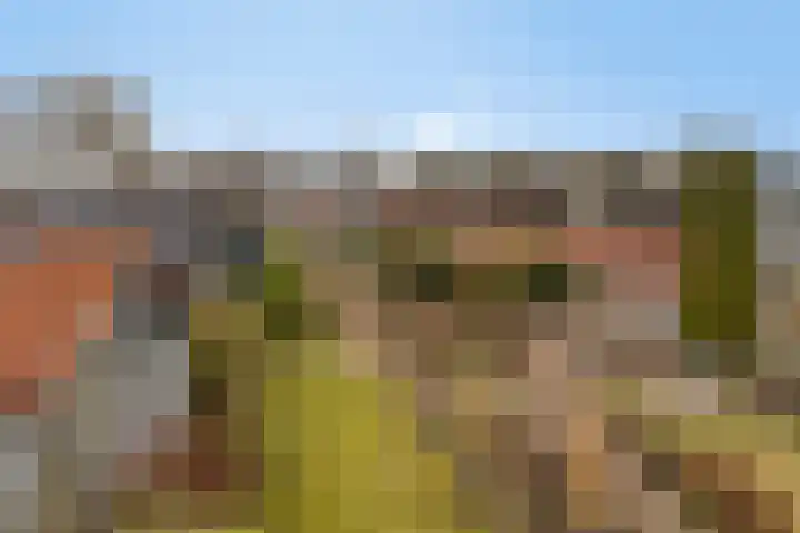 Boesvelderdijk 5 Westendorp thumbnail 48