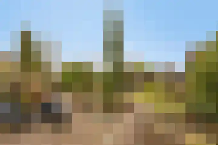Boesvelderdijk 5 Westendorp thumbnail 5