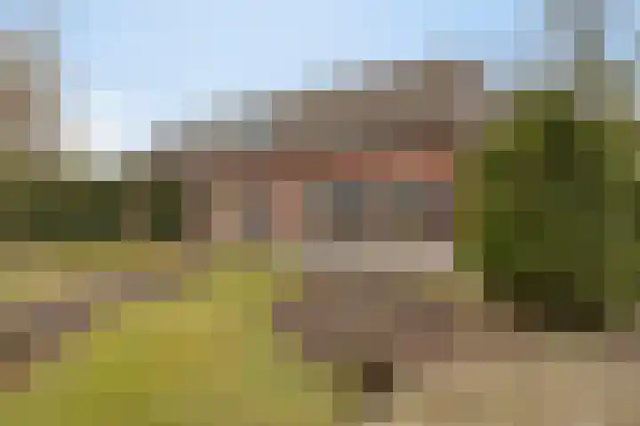 Boesvelderdijk 5 Westendorp thumbnail 7