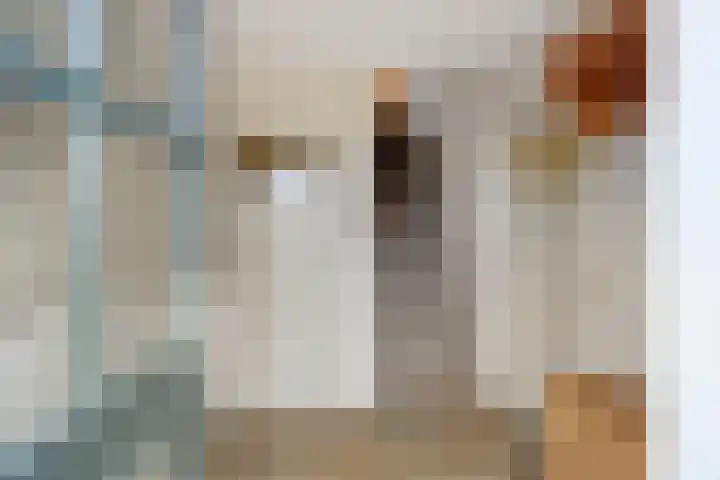 Boesvelderdijk 5 Westendorp thumbnail 8