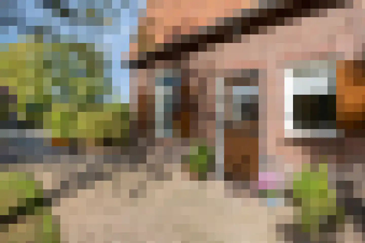 Boesveldsedijk 14 Dinxperlo thumbnail 10