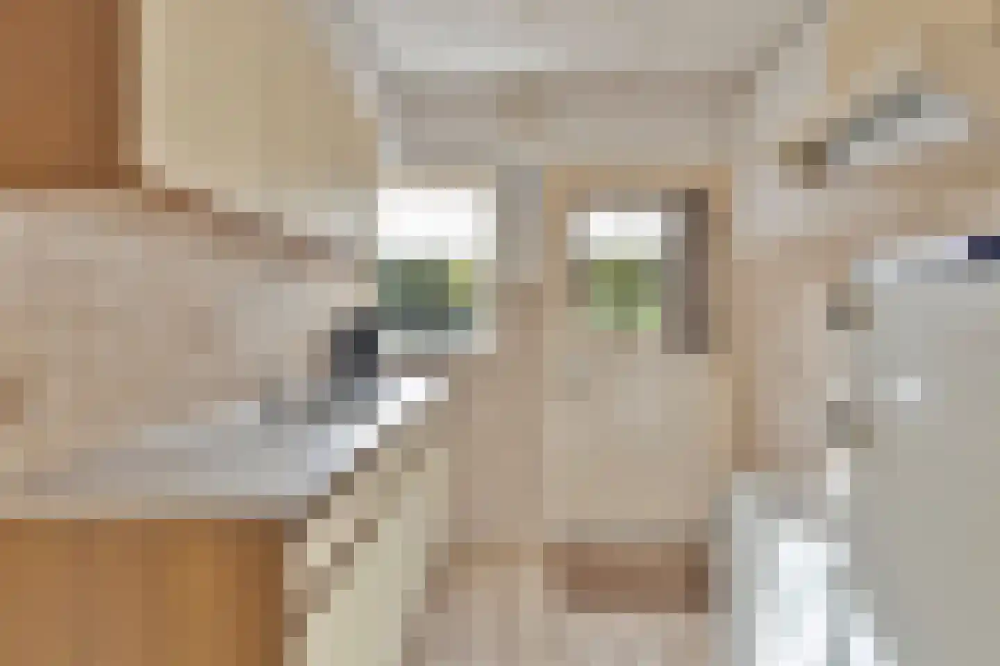 Boesveldsedijk 14 Dinxperlo thumbnail 11