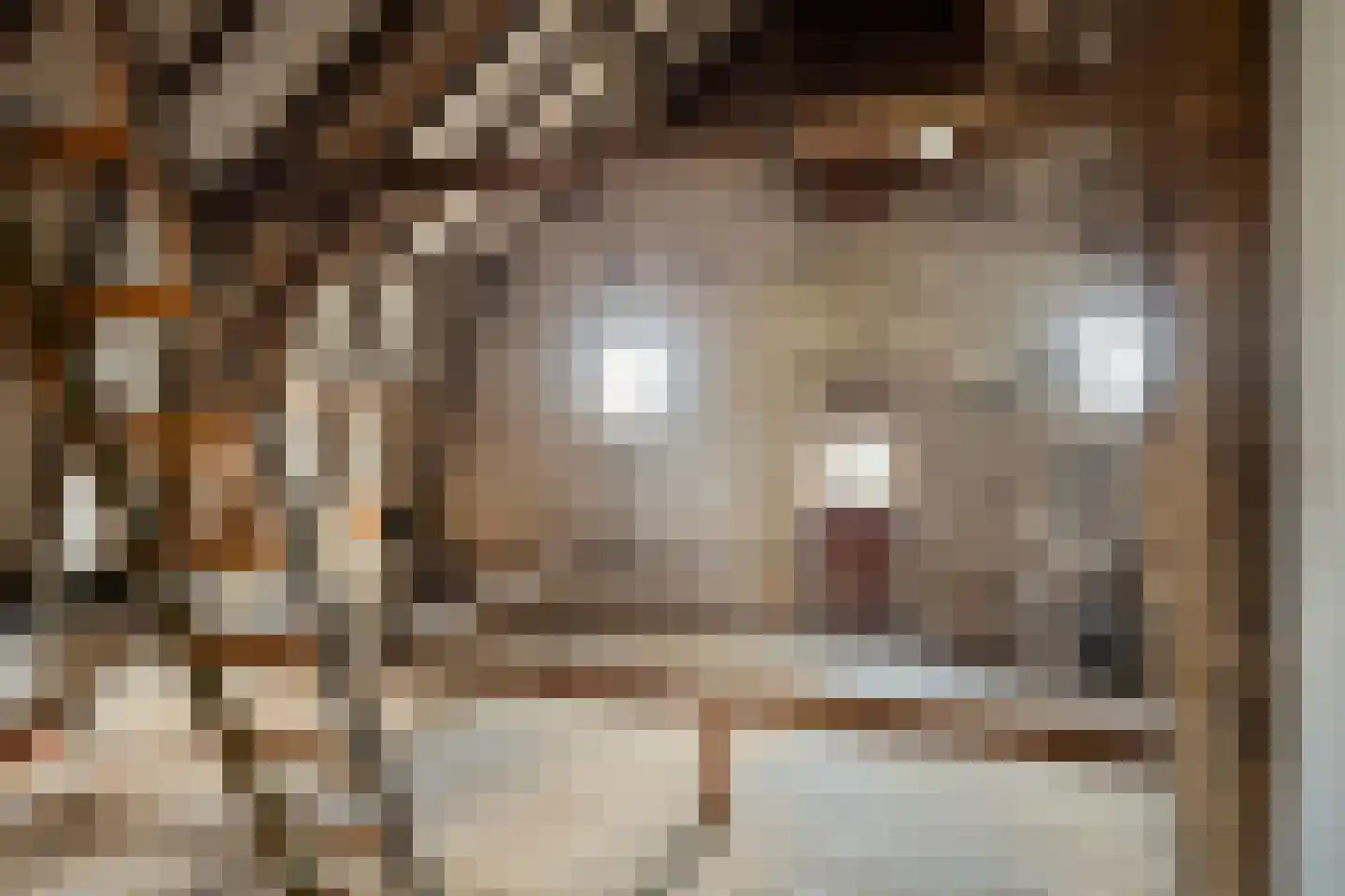 Boesveldsedijk 14 Dinxperlo thumbnail 39