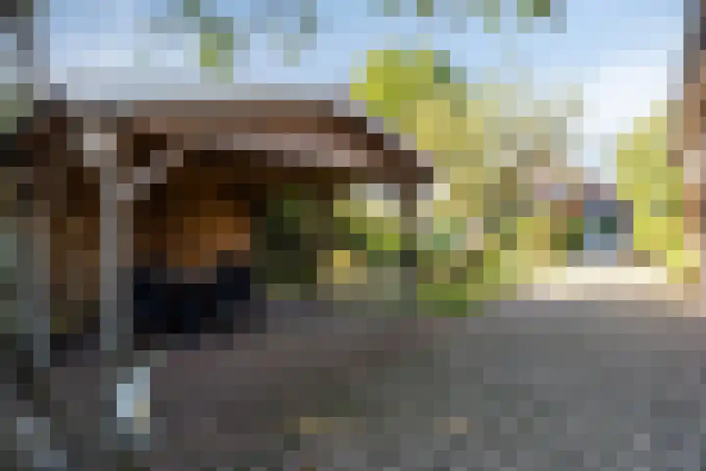 Boesveldsedijk 14 Dinxperlo thumbnail 46