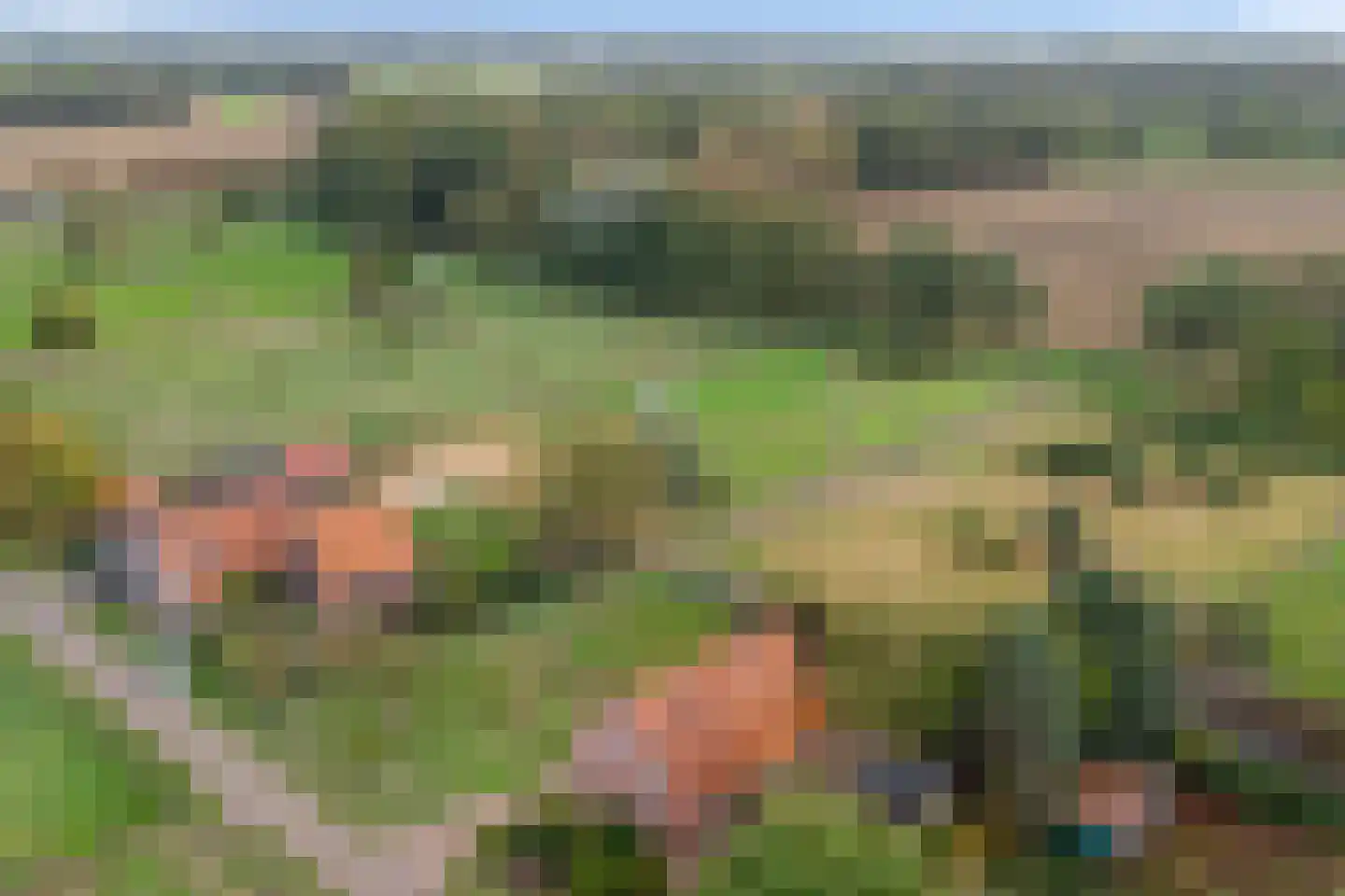 Boesveldsedijk 14 Dinxperlo thumbnail 5