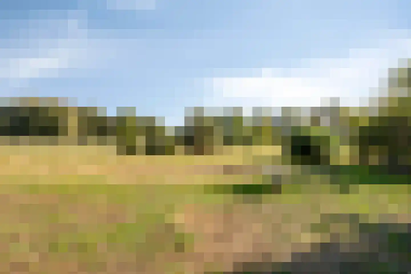 Boesveldsedijk 14 Dinxperlo thumbnail 50