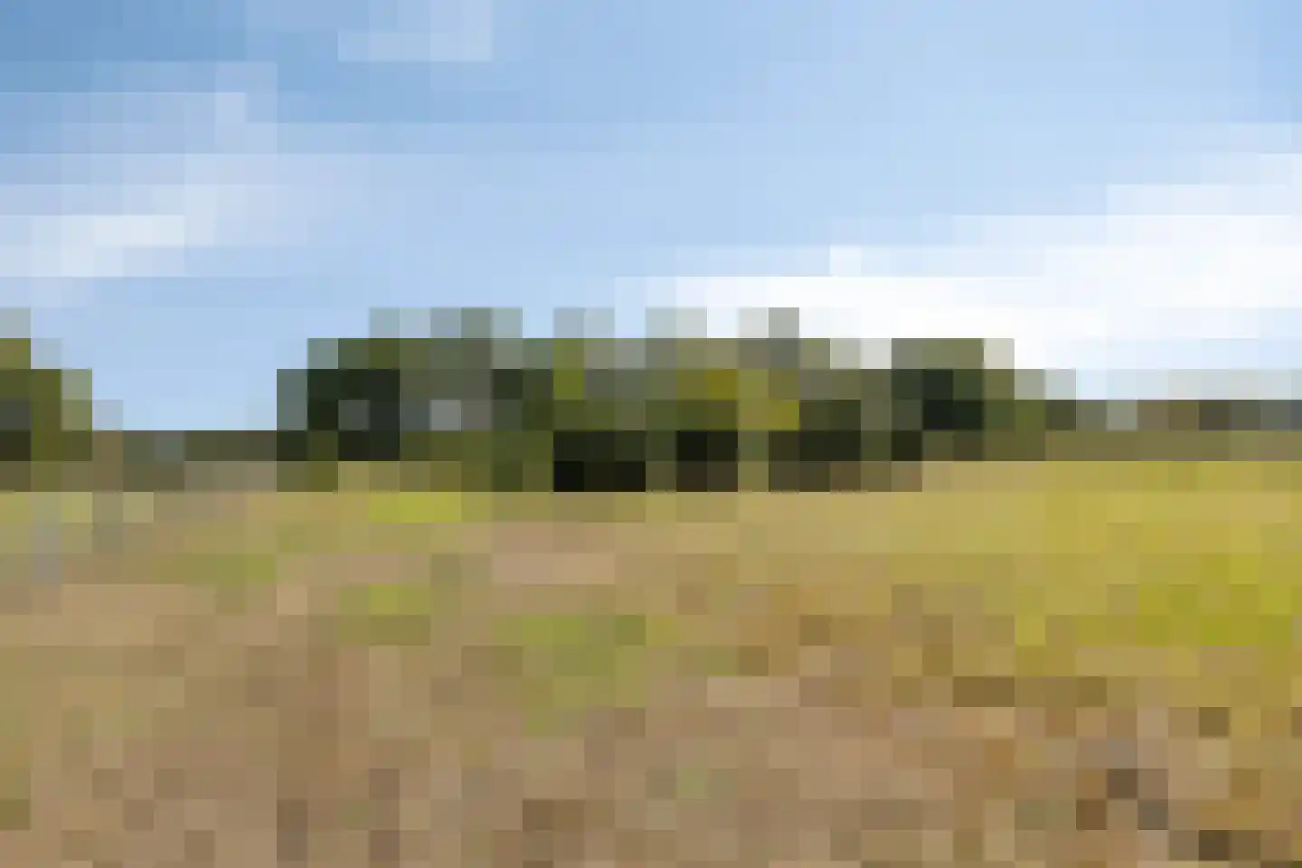 Boesveldsedijk 14 Dinxperlo thumbnail 51