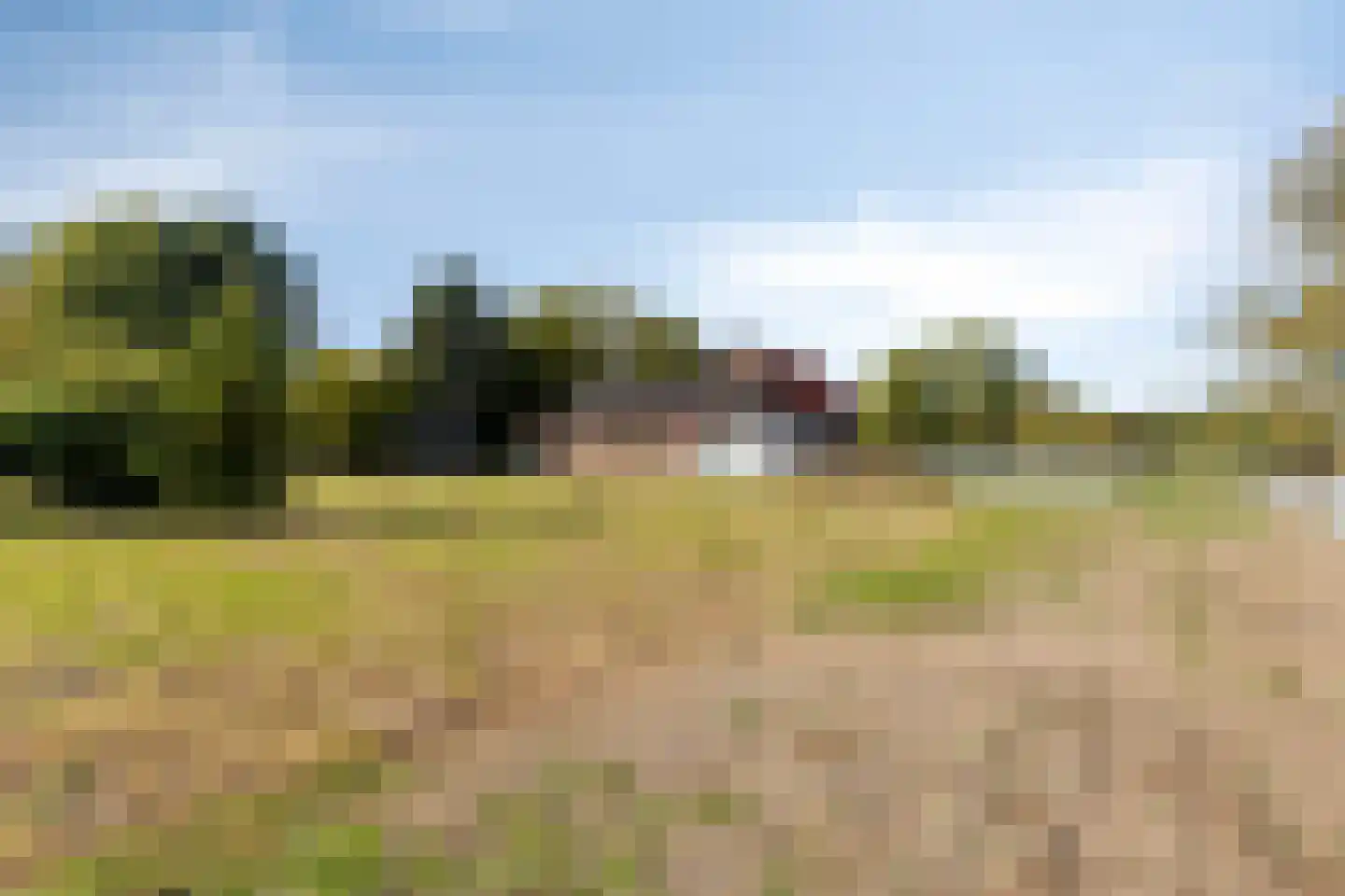 Boesveldsedijk 14 Dinxperlo thumbnail 52