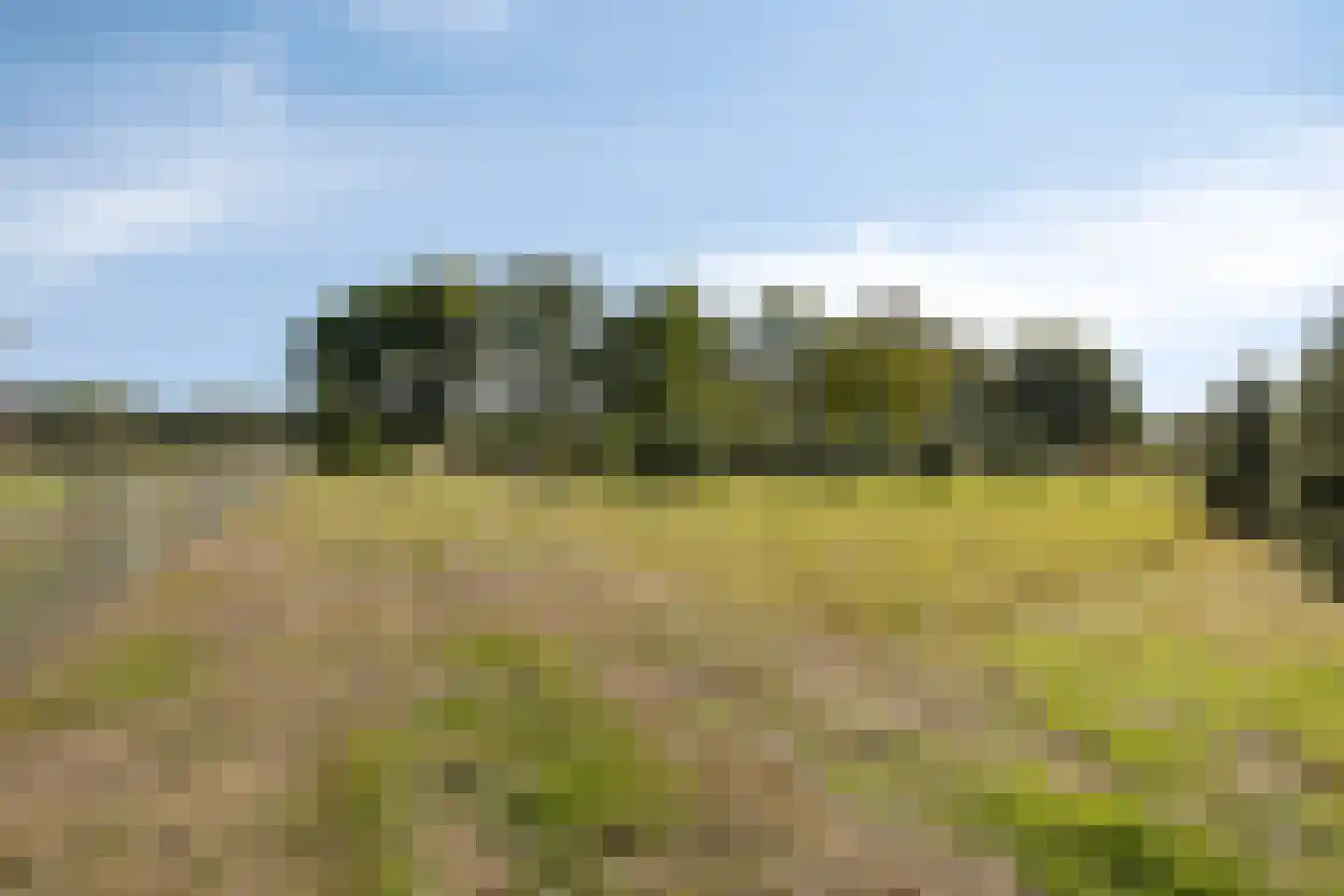 Boesveldsedijk 14 Dinxperlo thumbnail 53