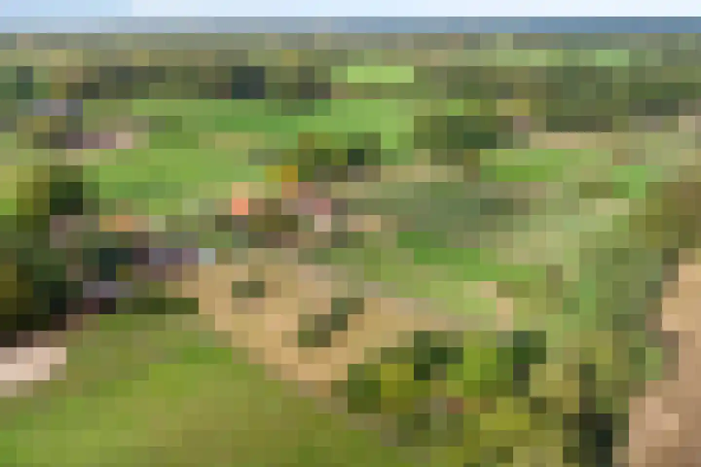 Boesveldsedijk 14 Dinxperlo thumbnail 56