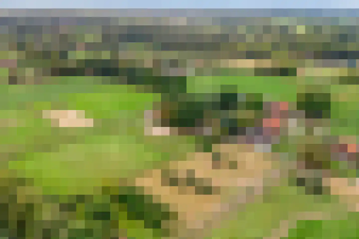 Boesveldsedijk 14 Dinxperlo thumbnail 57