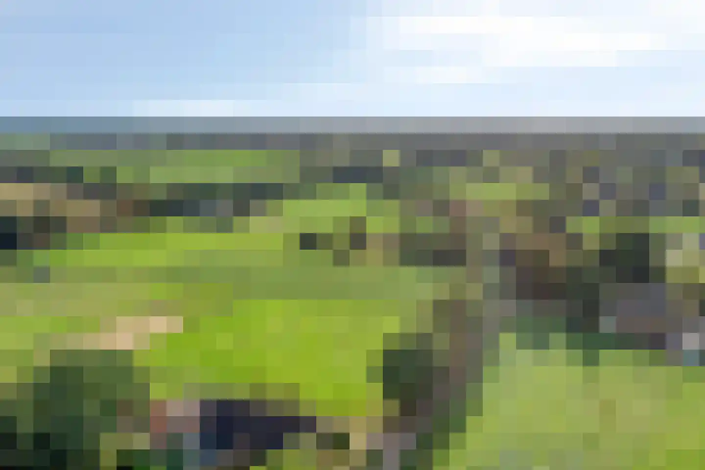 Boesveldsedijk 14 Dinxperlo thumbnail 58