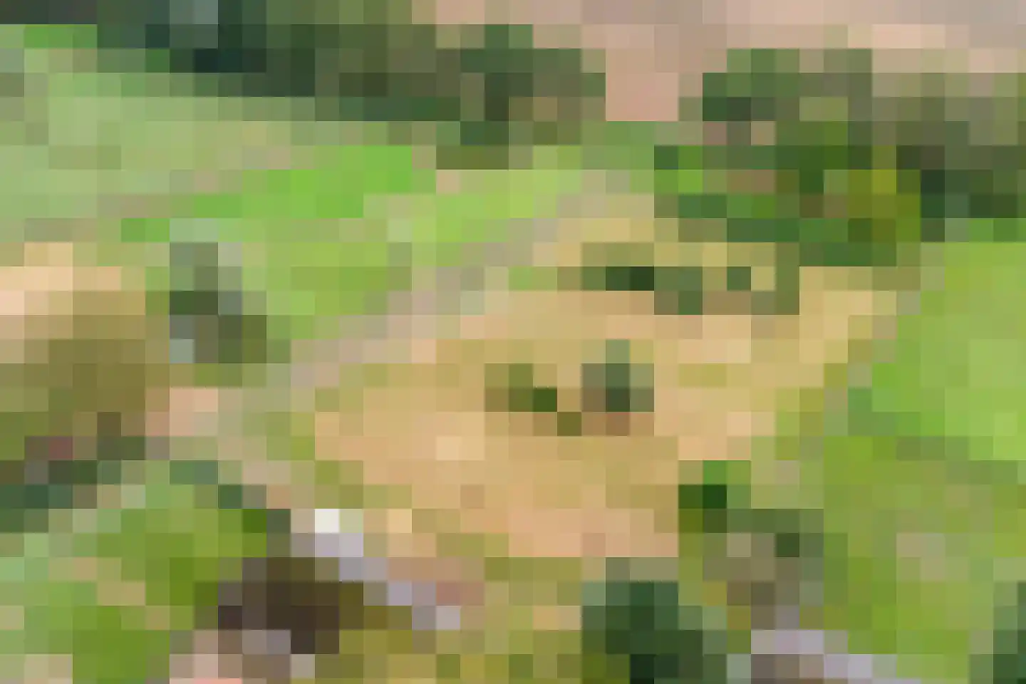 Boesveldsedijk 14 Dinxperlo thumbnail 6