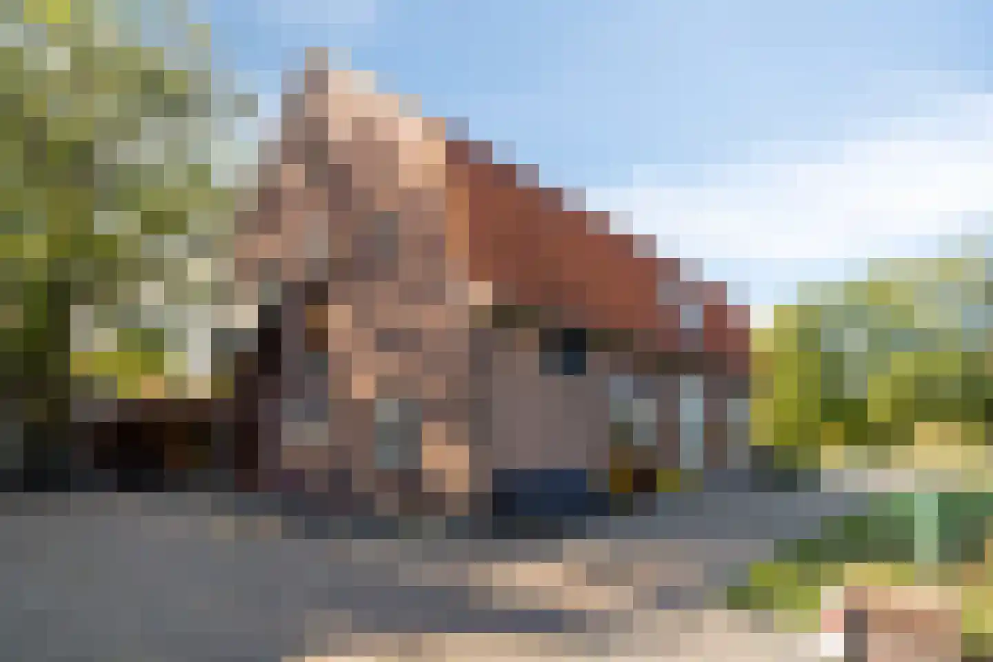 Boesveldsedijk 14 Dinxperlo thumbnail 9