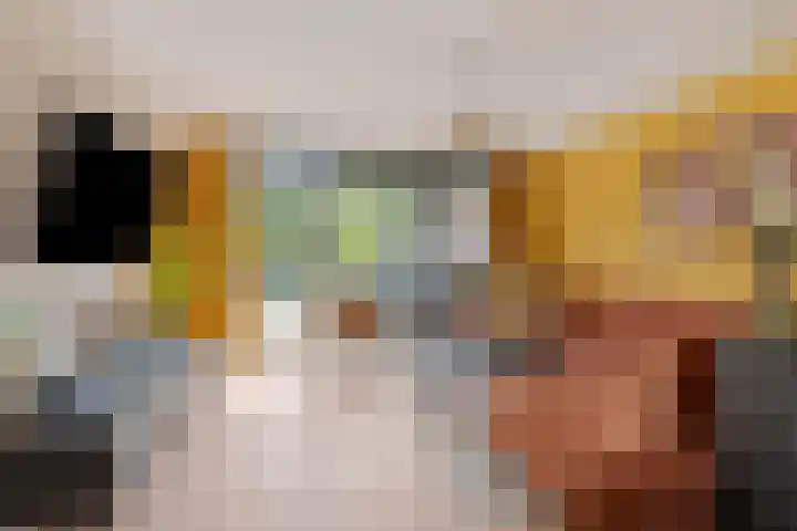 Boet 8 Huissen thumbnail 10