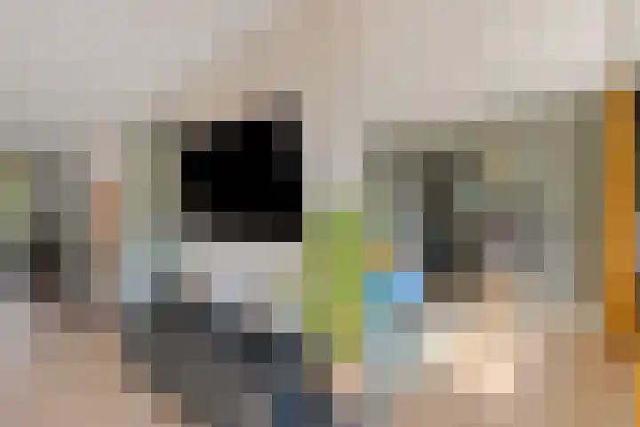 Boet 8 Huissen thumbnail 20
