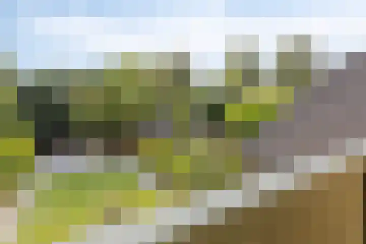 Boet 8 Huissen thumbnail 33
