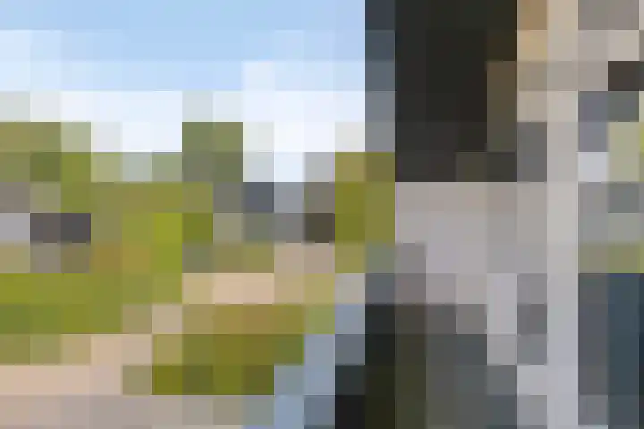 Boet 8 Huissen thumbnail 38
