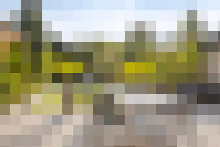 Boet 8 Huissen thumbnail 39
