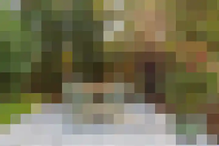 Boet 8 Huissen thumbnail 41