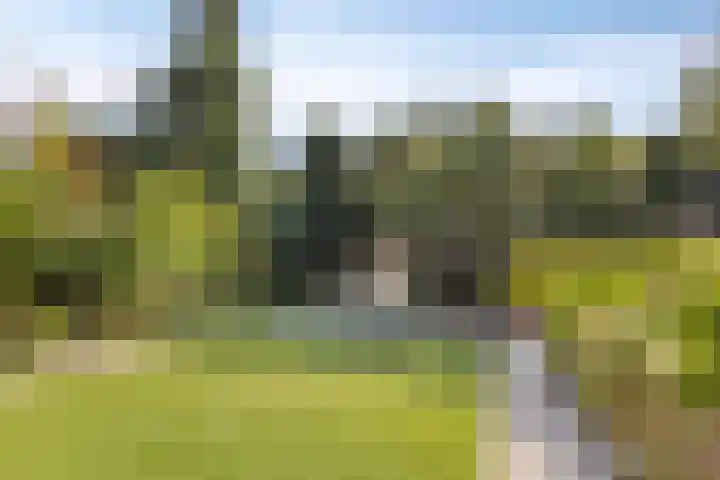 Boet 8 Huissen thumbnail 43