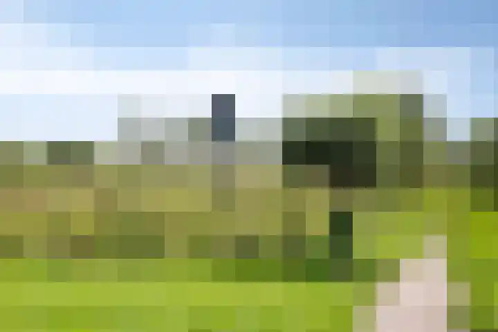 Boet 8 Huissen thumbnail 45
