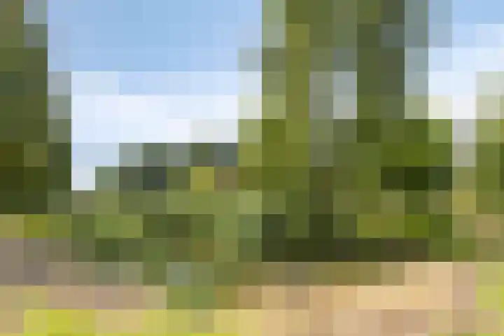 Boet 8 Huissen thumbnail 46