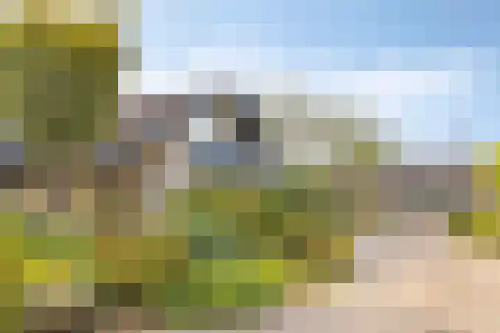 Boet 8 Huissen thumbnail 5