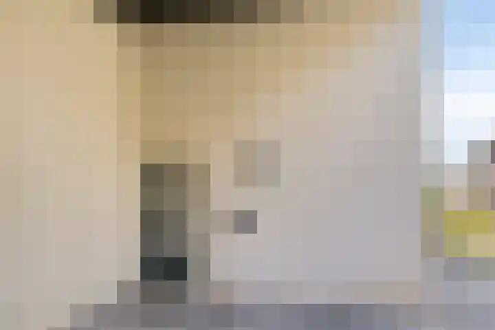 Boet 8 Huissen thumbnail 6