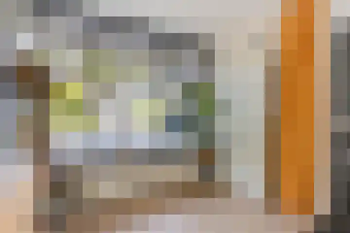 Boet 8 Huissen thumbnail 7