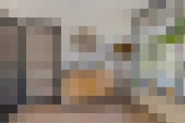 Boet 8 Huissen thumbnail 8