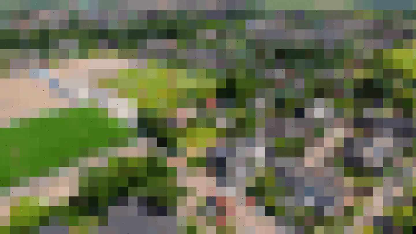 Boeterslaan 3 Sint Pancras thumbnail 5