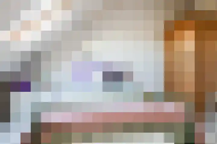 Boeterslaan 32 Sint Pancras thumbnail 35