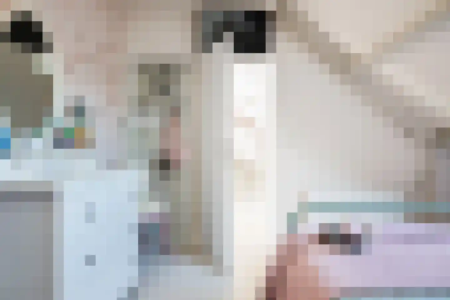 Boeterslaan 32 Sint Pancras thumbnail 36