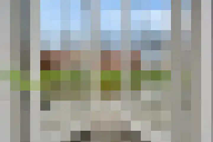Boetersstraat 2 Wateringen thumbnail 13