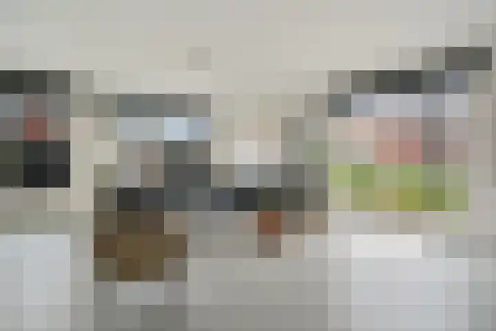 Boetersstraat 2 Wateringen thumbnail 6
