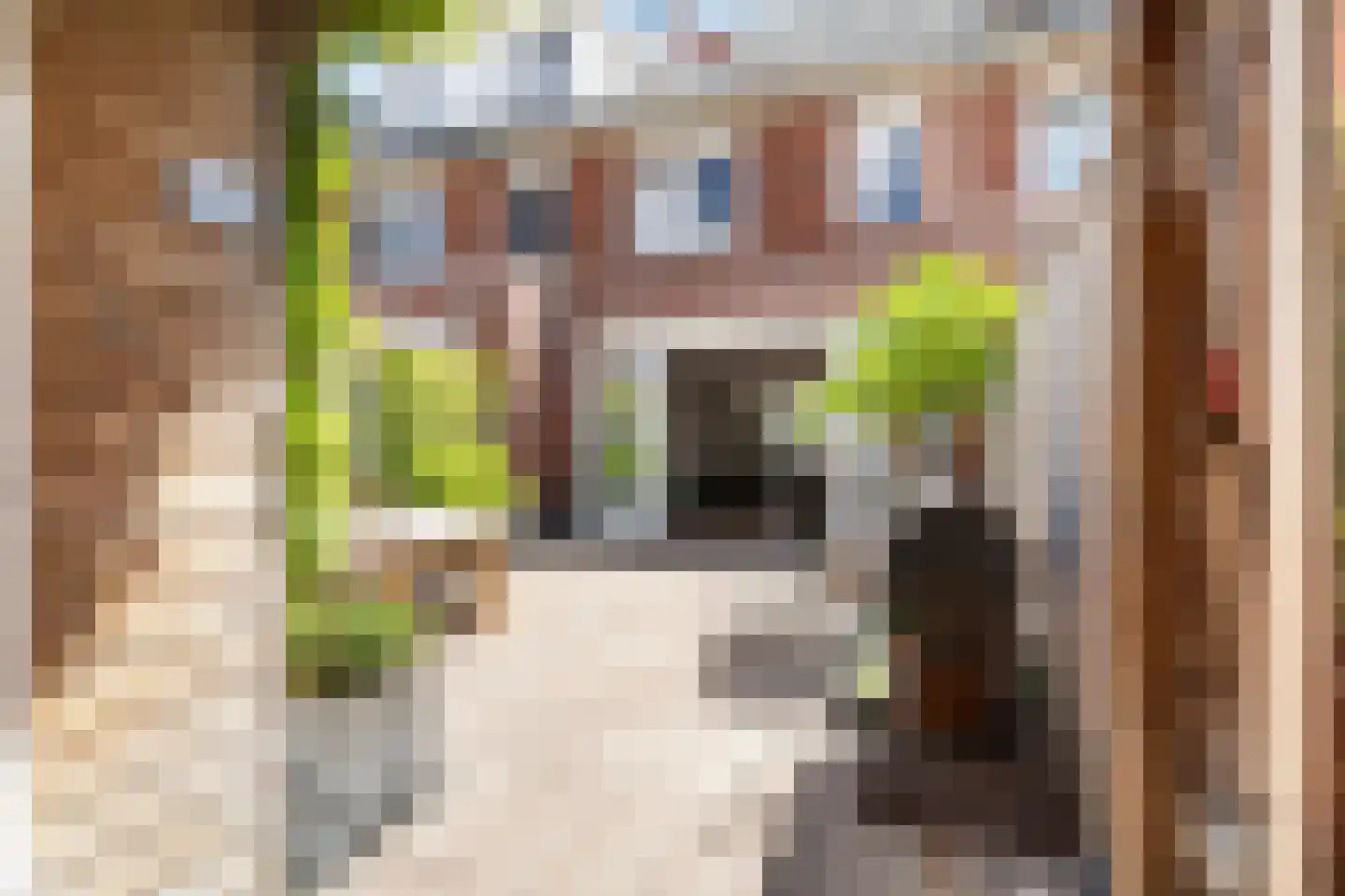 Boetersstraat 34 Wateringen thumbnail 11
