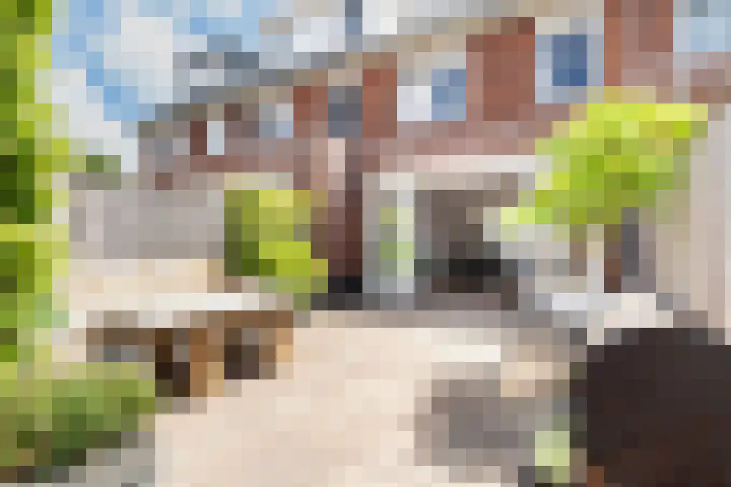 Boetersstraat 34 Wateringen thumbnail 12