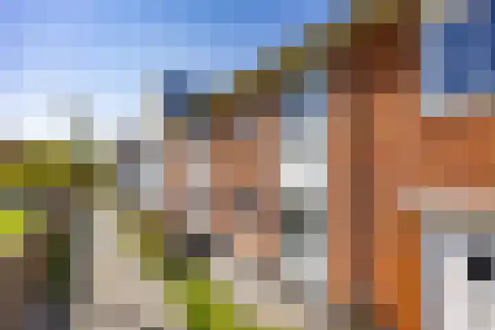 Boetersstraat 4 Wateringen thumbnail 5